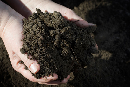 garden-soil