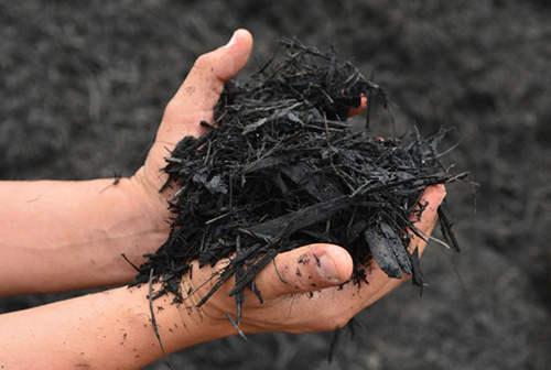 landscape-construction-black-mulch
